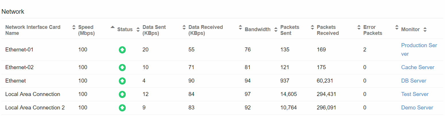 Server Network Adapter Report