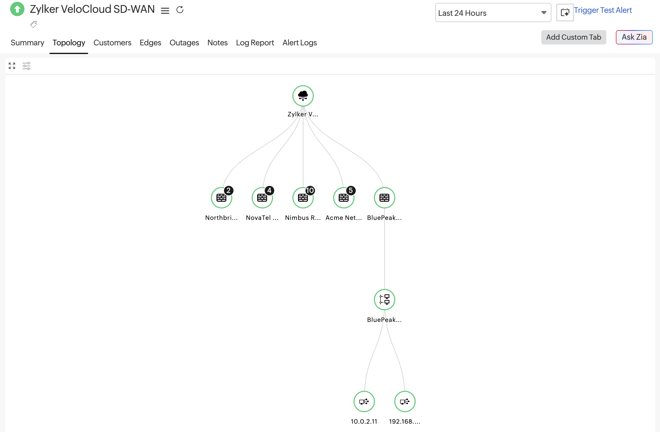 VeloCloud Topology Map